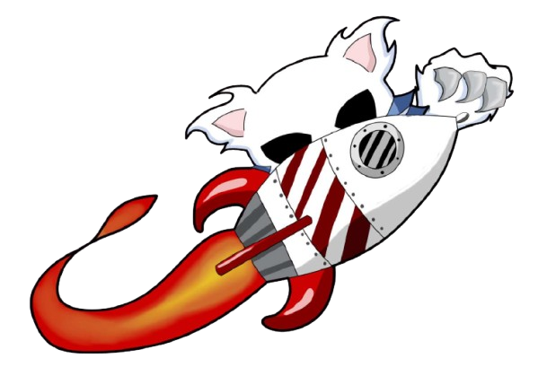 WildcatCoin Rocket